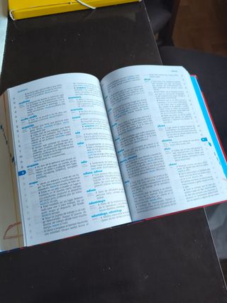 Diccionario de Primaria (Spanish Edition)