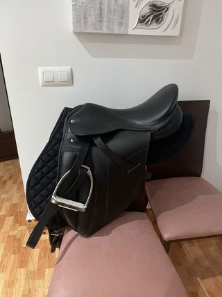 Montura inglesa caballo negra