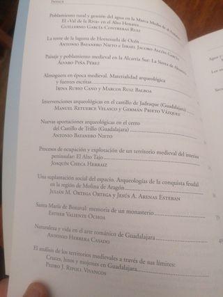 Arqueología medieval en Guadalajara: Agua, pais...
