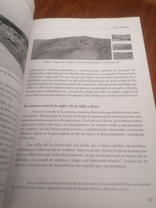 Arqueología medieval en Guadalajara: Agua, pais...