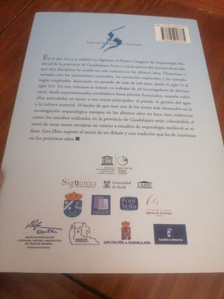 Arqueología medieval en Guadalajara: Agua, pais...