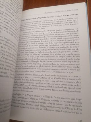 Arqueología medieval en Guadalajara: Agua, pais...