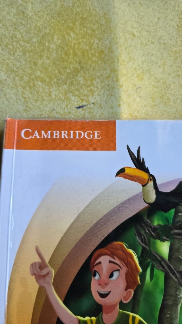 Super Minds Level 5 Workbook with Digital Pack ...