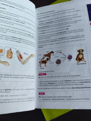 Inicia Geology 1.º ESO. Student's Book Volume 1