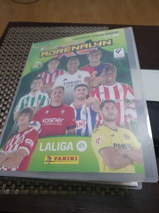 Panini Adrenalyn XL 2024/25 Incompleto
140 Cards.
