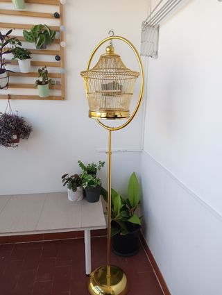 Jaula dorada con pie