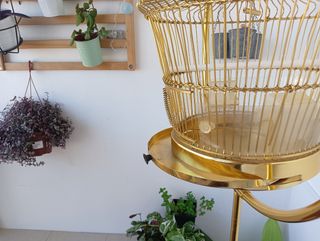 Jaula dorada con pie