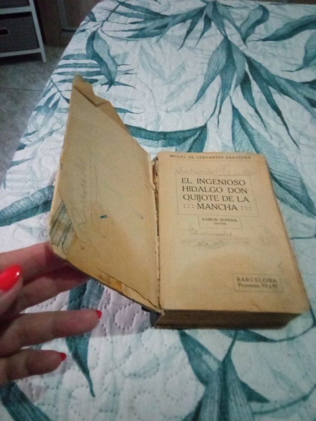 Don quijote de la mancha