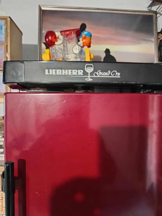 BODEGA NEVERA LIEBHERR GRANG CRU
