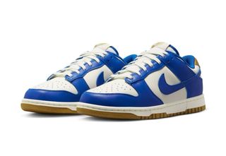 Nike Dunk Low Azul y Blanco talla 41 y 42