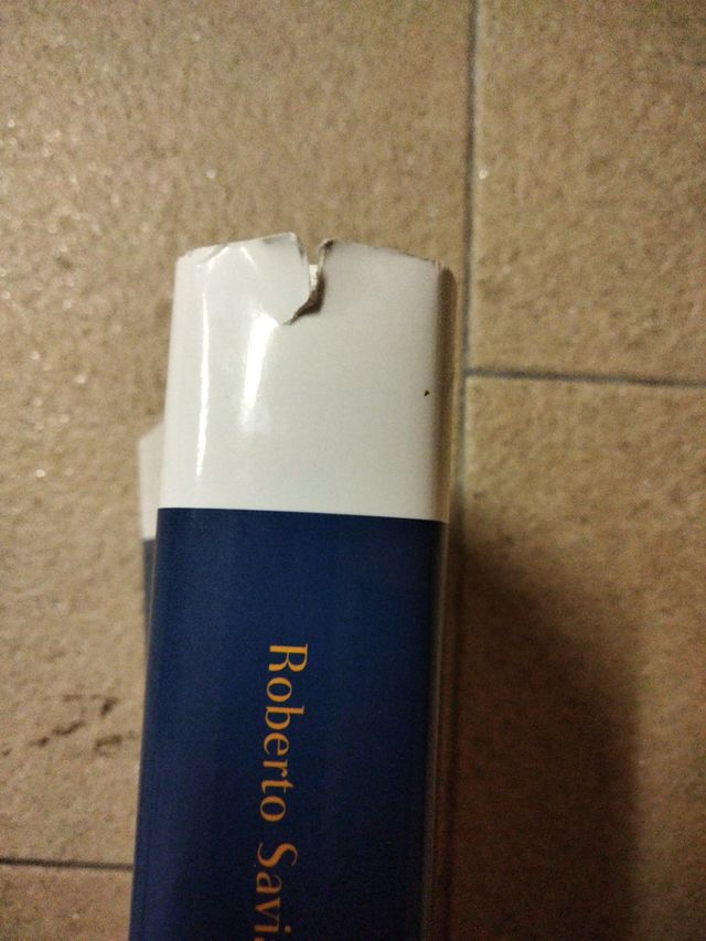 Gridalo (Overlook) (Italian Edition)