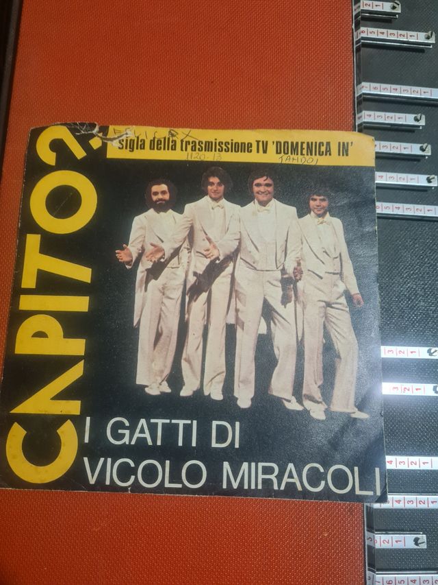 45 giri vinile il gatto di vicolo miracoli  capito