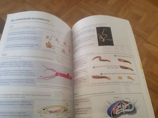 Proyecto: FanFest - Biología, Geología y Cienci...