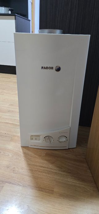 Calentador de agua Fagor