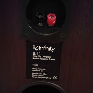 Altavoces pie suelo Infinity