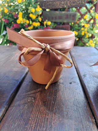 Set 4 vasetti terracotta