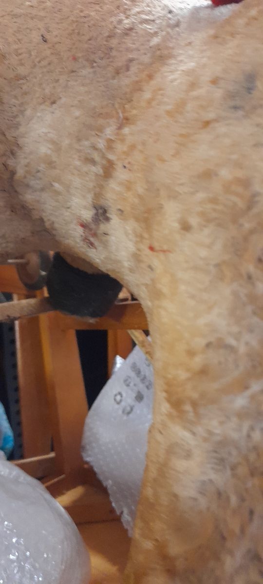 Asinello a dondolo anni '50