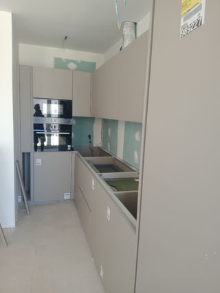 Carpintero económico