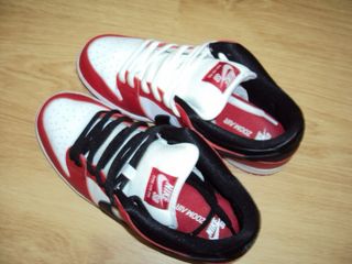 Nike Dunk SB Chicago Talla 42 usadas