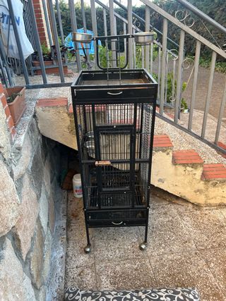 Jaula para loro grandez a