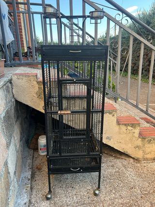 Jaula para loro grandez a