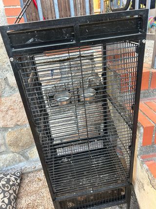 Jaula para loro grandez a