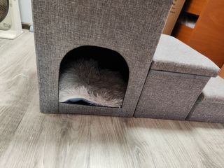 Escaleras para gatos