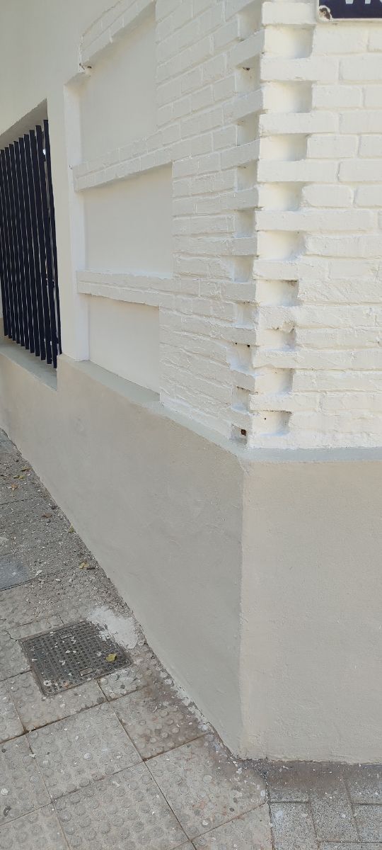 Servicios de Pintura Profesional