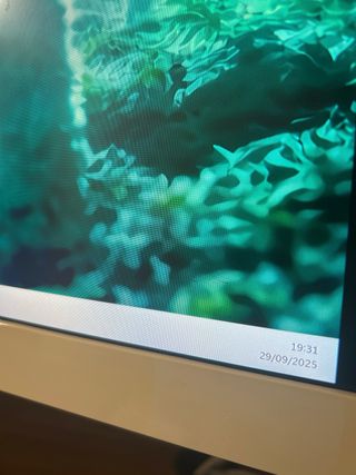 Monitor Curvo Philips 34”