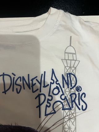 Camiseta Disneyland Paris Ratatouille 
TALLA 12