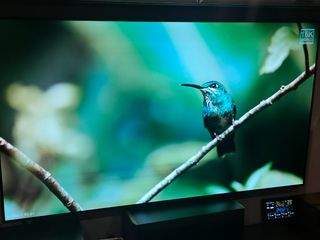 LG OLED 65C8 4K HDR TV