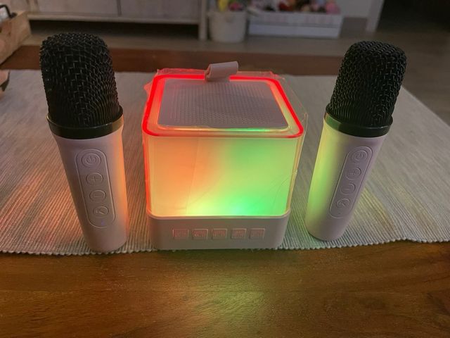 Karaoke infantil con micrófonos