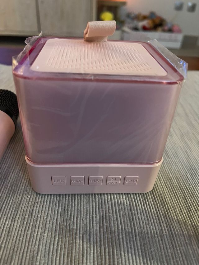 Karaoke infantil con micrófonos