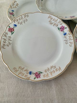 Juego de 7 platos antiguos Sarreguemines “Bearn”