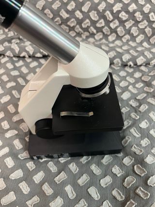 Microscopio H10X para niños 