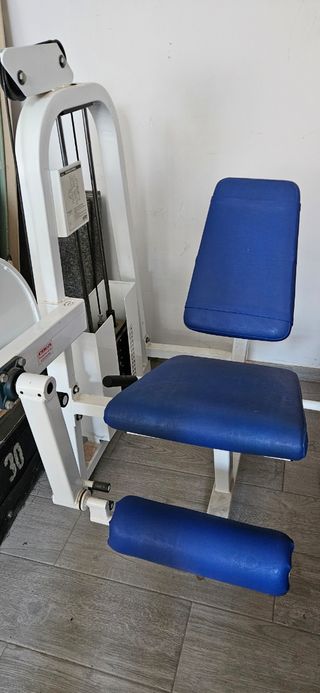 Máquina de Gimnasio Cuádriceps 