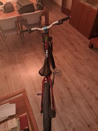 Bicicleta de Montaña Roja