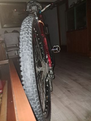 Bicicleta de Montaña Roja