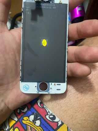 Pantalla iPhone 5 Blanca