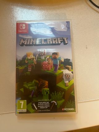 Minecraft Nintendo switch 