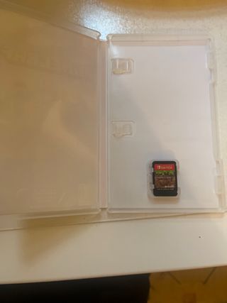 Minecraft Nintendo switch 