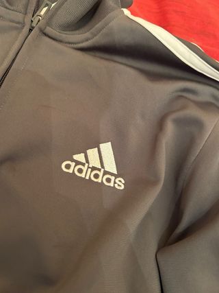 Chaqueta Adidas gris