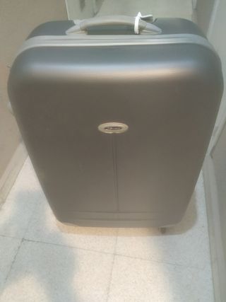 Maleta familiar gris