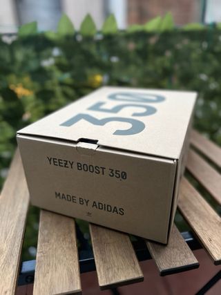 Adidas Yeezy Boost 350 V2 Beluga 