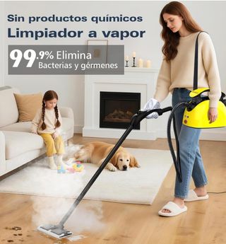 Limpiador a vapor Waitbird con 21 accesorios