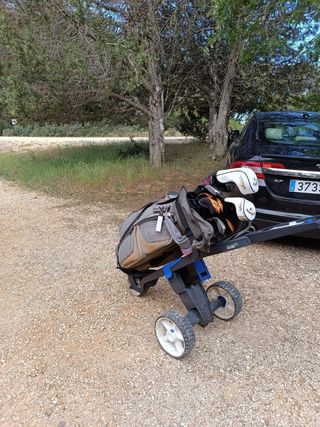 Carro de golf eléctrico 