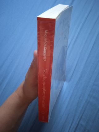 Novelas ejemplares (selección). Clásicos adaptados