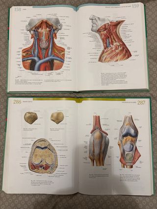 Sobotta Atlas de Anatomia Humana - Tomo 1 (Span...