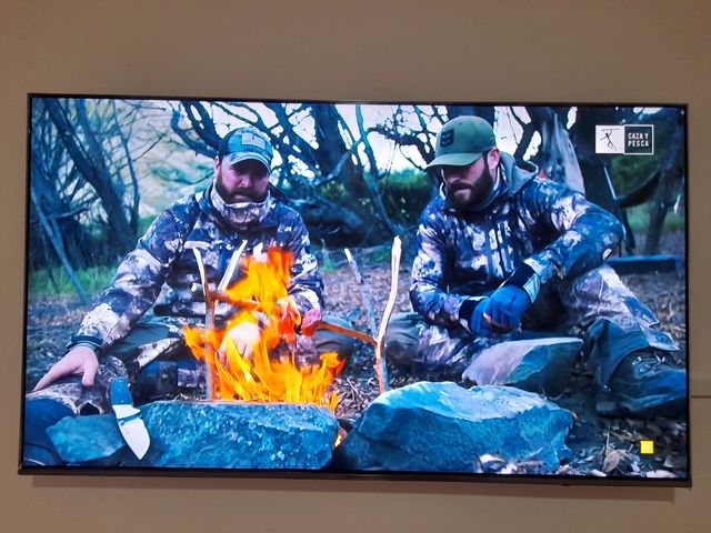 Televisor Samsung QLED 55 4K UHD Plano Serie 6F