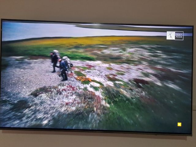 Televisor Samsung QLED 55 4K UHD Plano Serie 6F